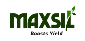 Maxsil logo